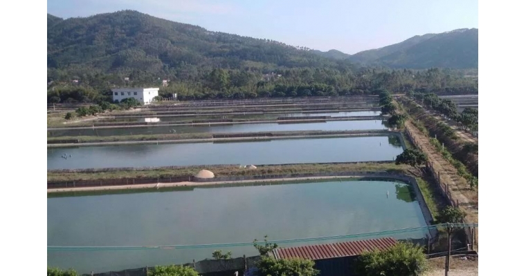 現在水產(chǎn)養殖動(dòng)物種類(lèi)越來(lái)越多，對于水質(zhì)的要求也各有不同